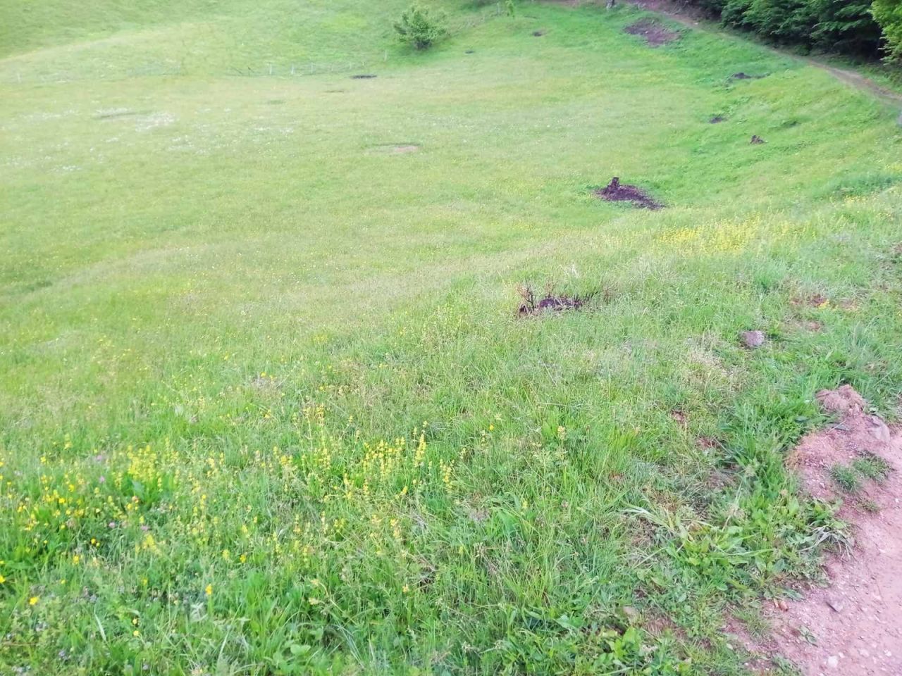 Земля в Колашине, Черногория, 5 540 м² - фото 3