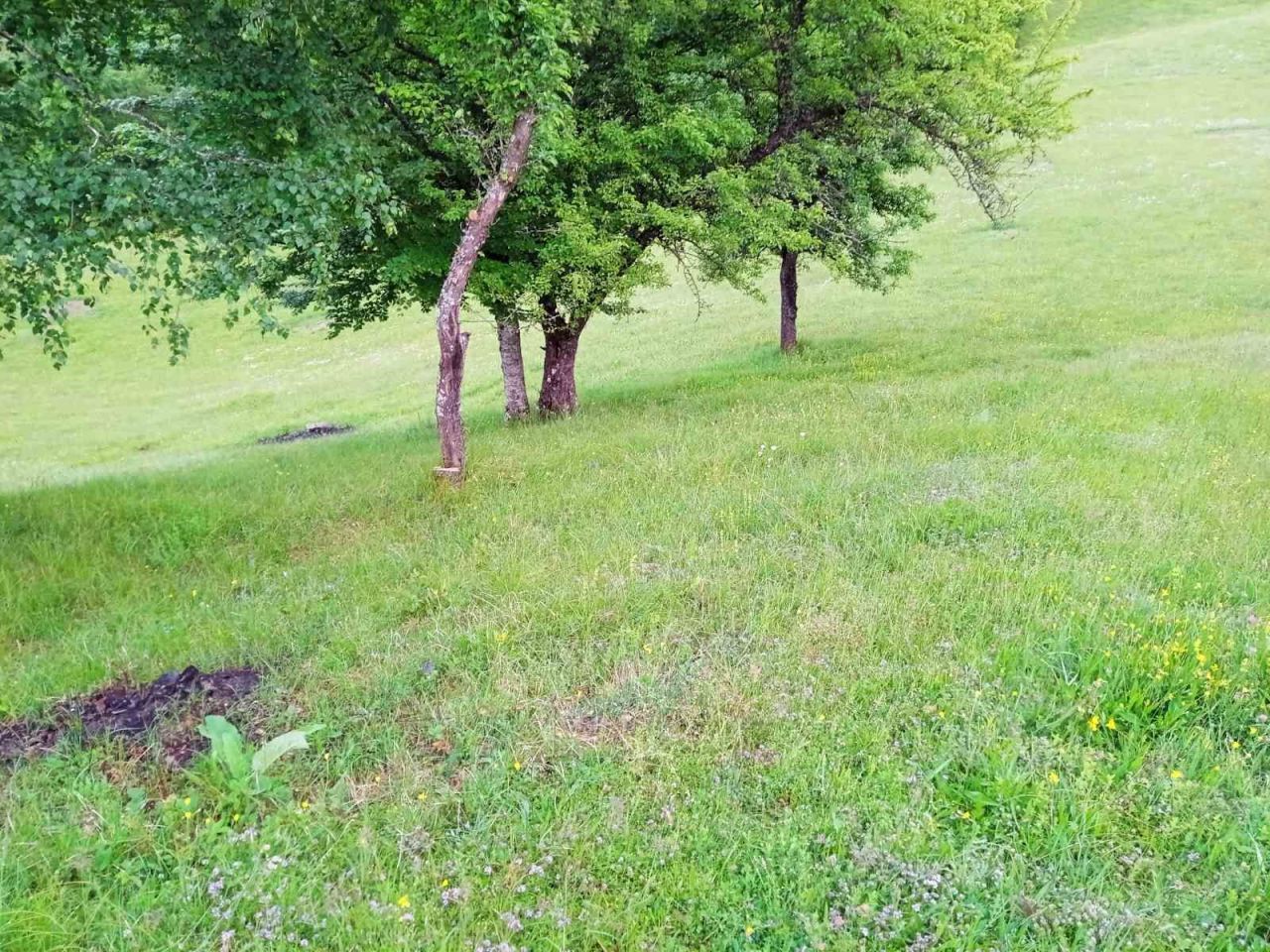 Земля в Колашине, Черногория, 5 540 м² - фото 4