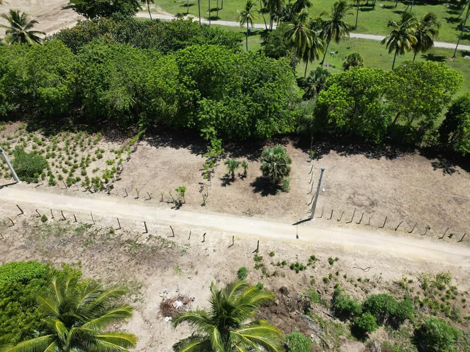 Земля в Кабарете, Доминиканская Республика, 301 м² - фото 6