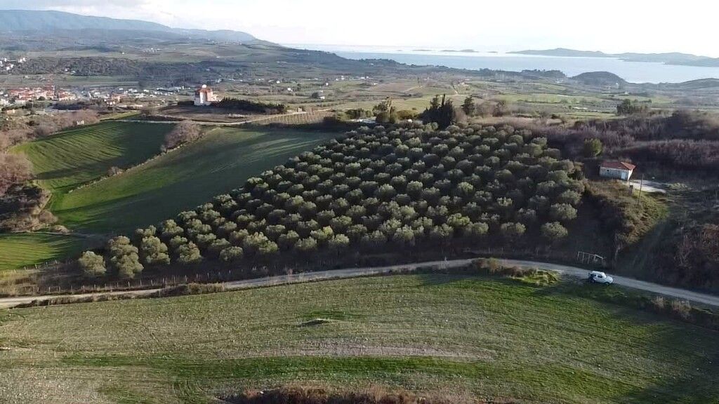 Земля в Ситонии, Греция, 5 625 м² - фото 9