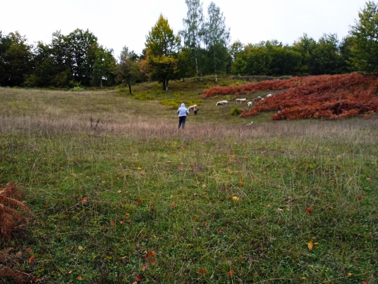 Земля в Колашине, Черногория, 5 540 м² - фото 7