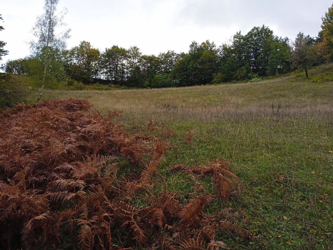 Земля в Колашине, Черногория, 5 540 м² - фото 8