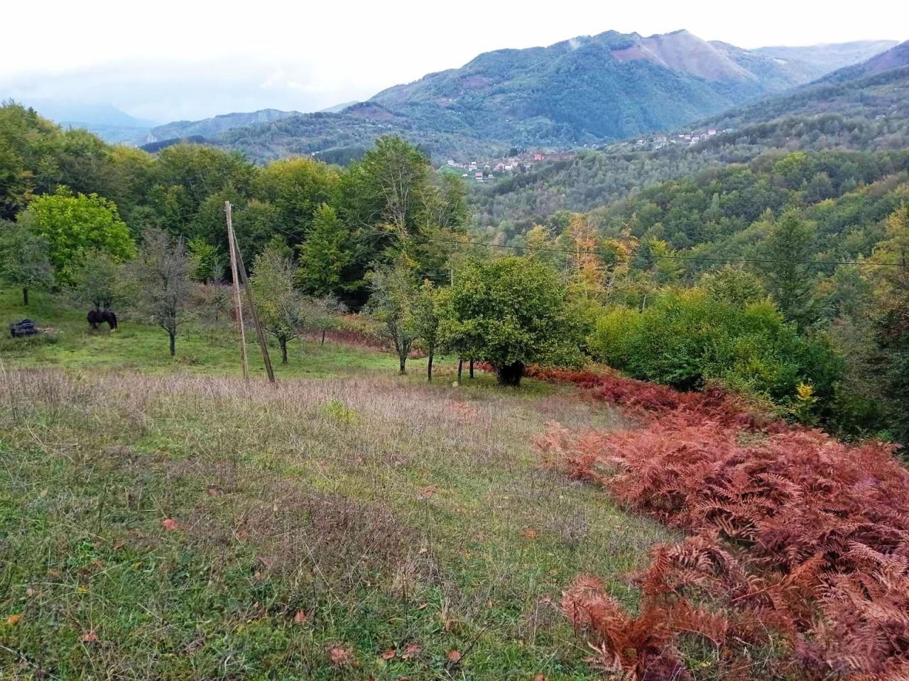 Земля в Колашине, Черногория, 5 540 м² - фото 10