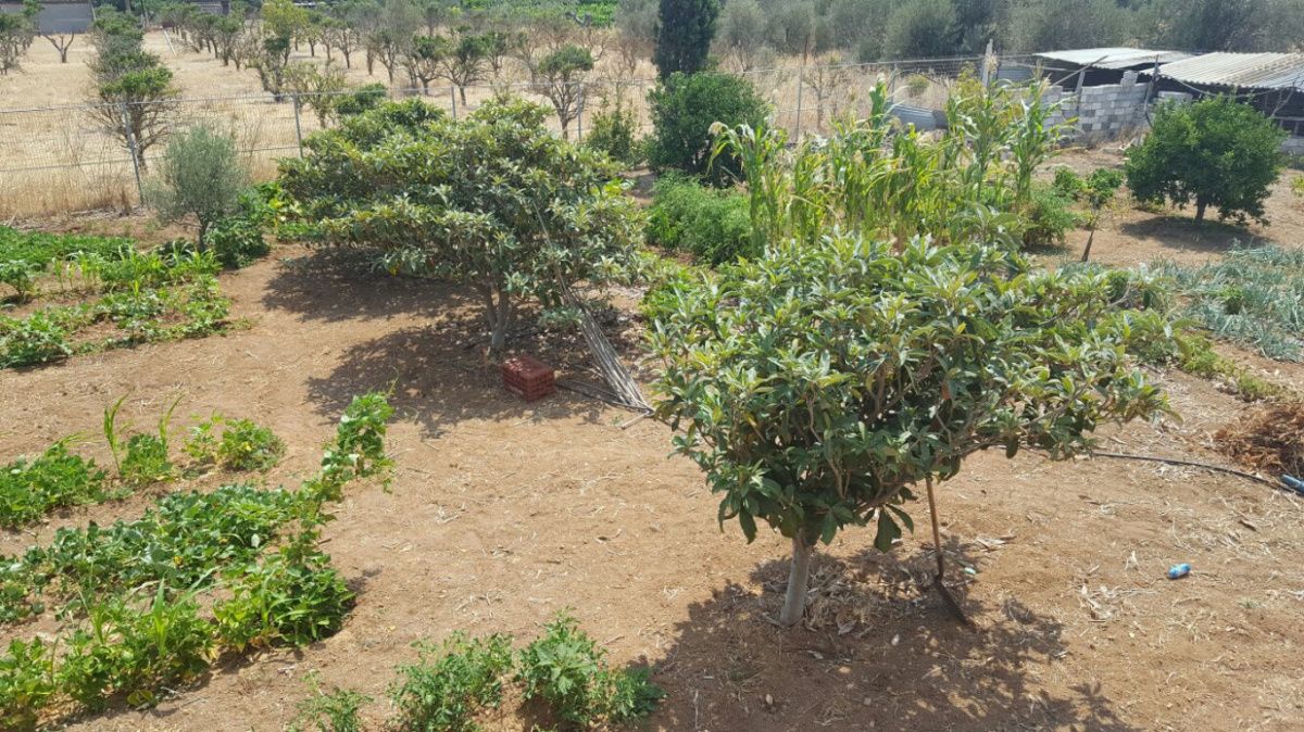 Таунхаус на Пелопоннесе, Греция, 130 м² - фото 2