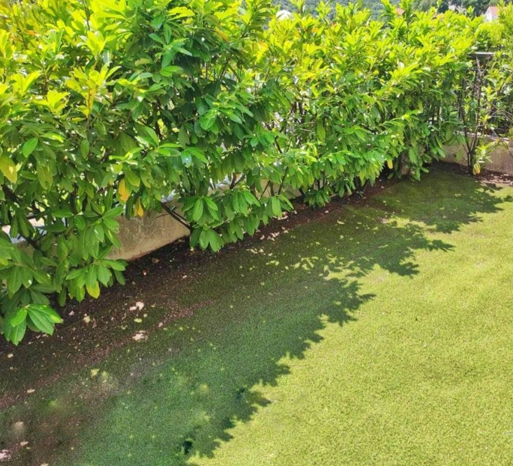 Квартира в Морини, Черногория, 54 м² - фото 8