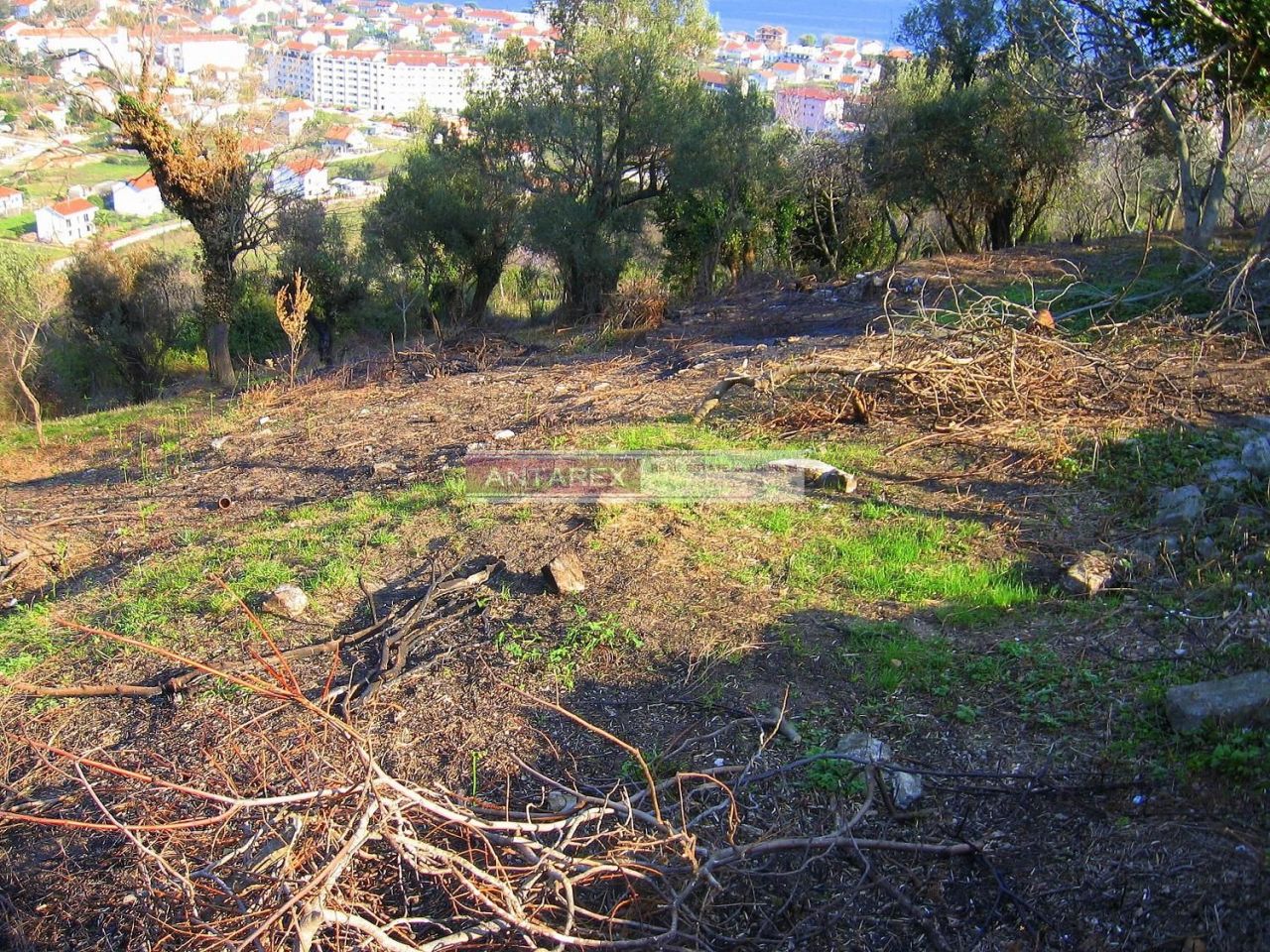 Земля в Биеле, Черногория, 2 806 м² - фото 11