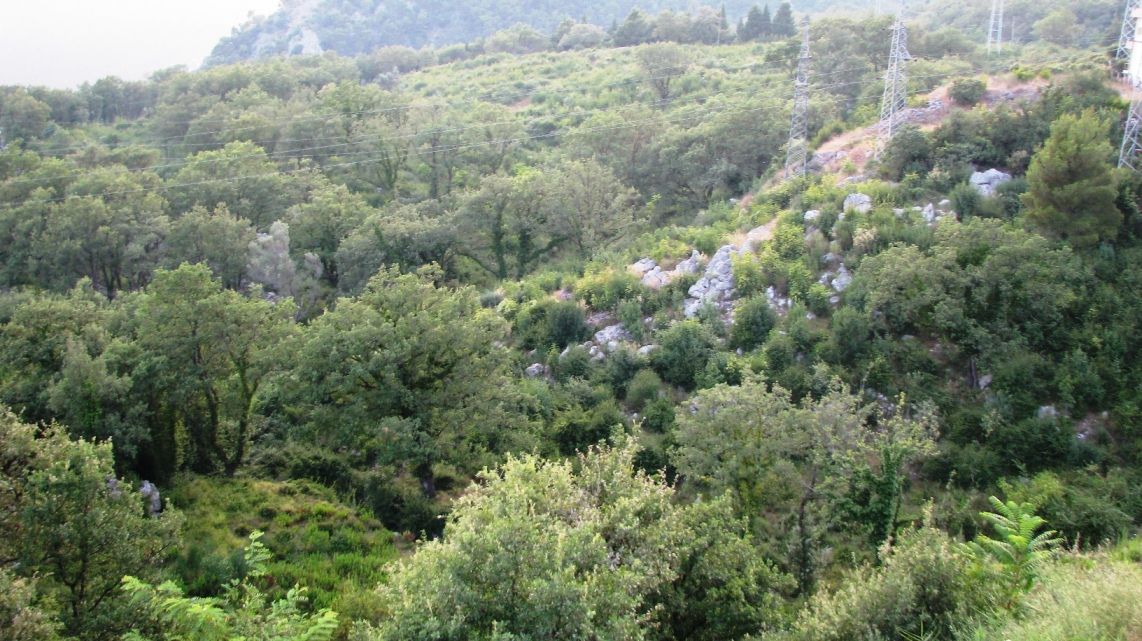 Земля в Марковичах, Черногория, 5 Га - фото 13