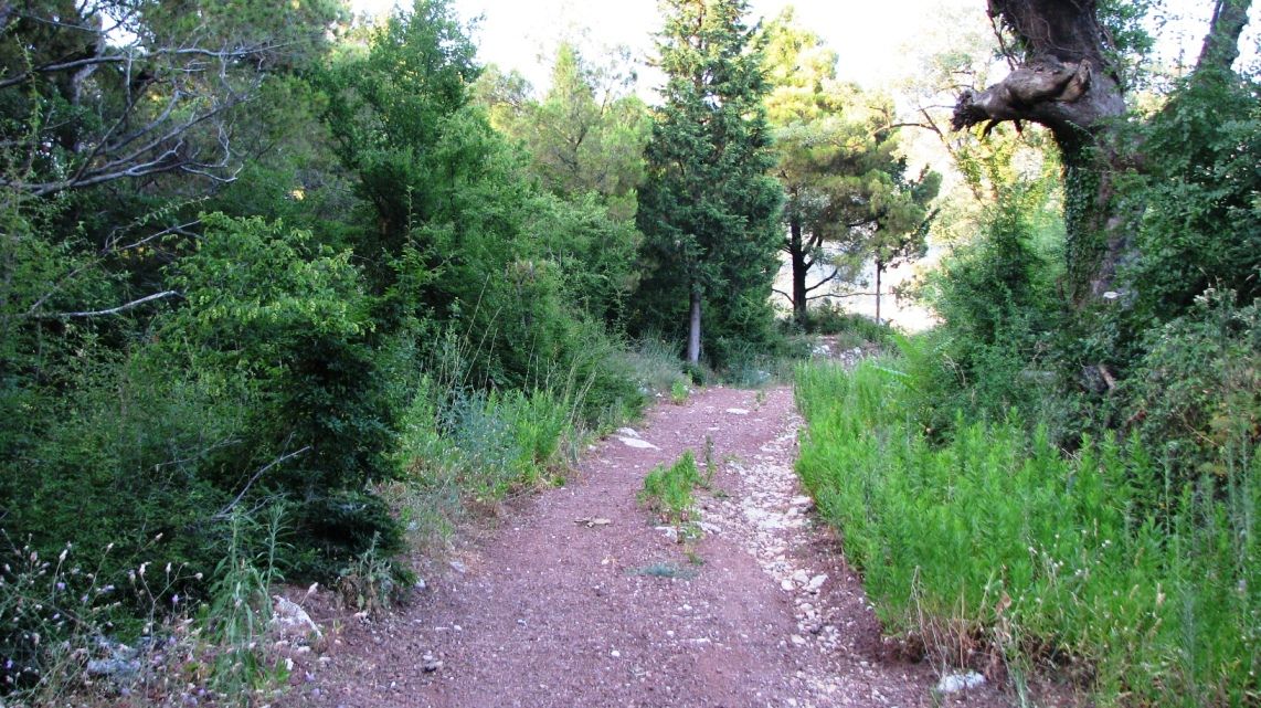 Земля в Марковичах, Черногория, 5 Га - фото 5