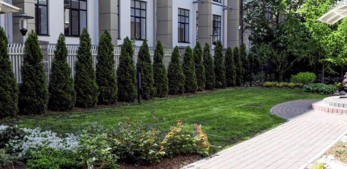 Доходный дом в Риге, Латвия, 825 м² - фото 2