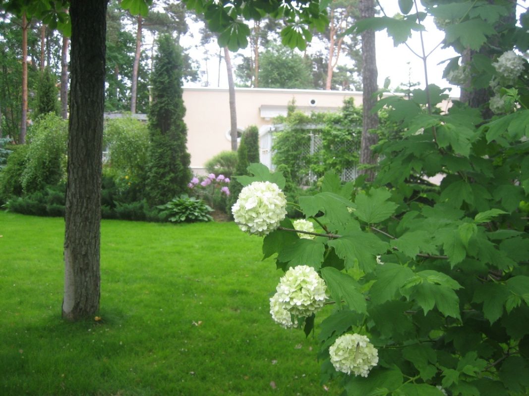 Дом в Булдури, Латвия, 500 м² - фото 5