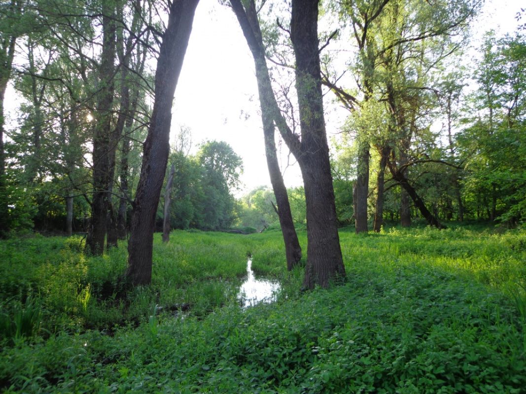 Дом в Рижском крае, Латвия, 220 м² - фото 7