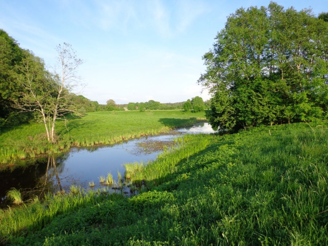 Дом в Рижском крае, Латвия, 220 м² - фото 8