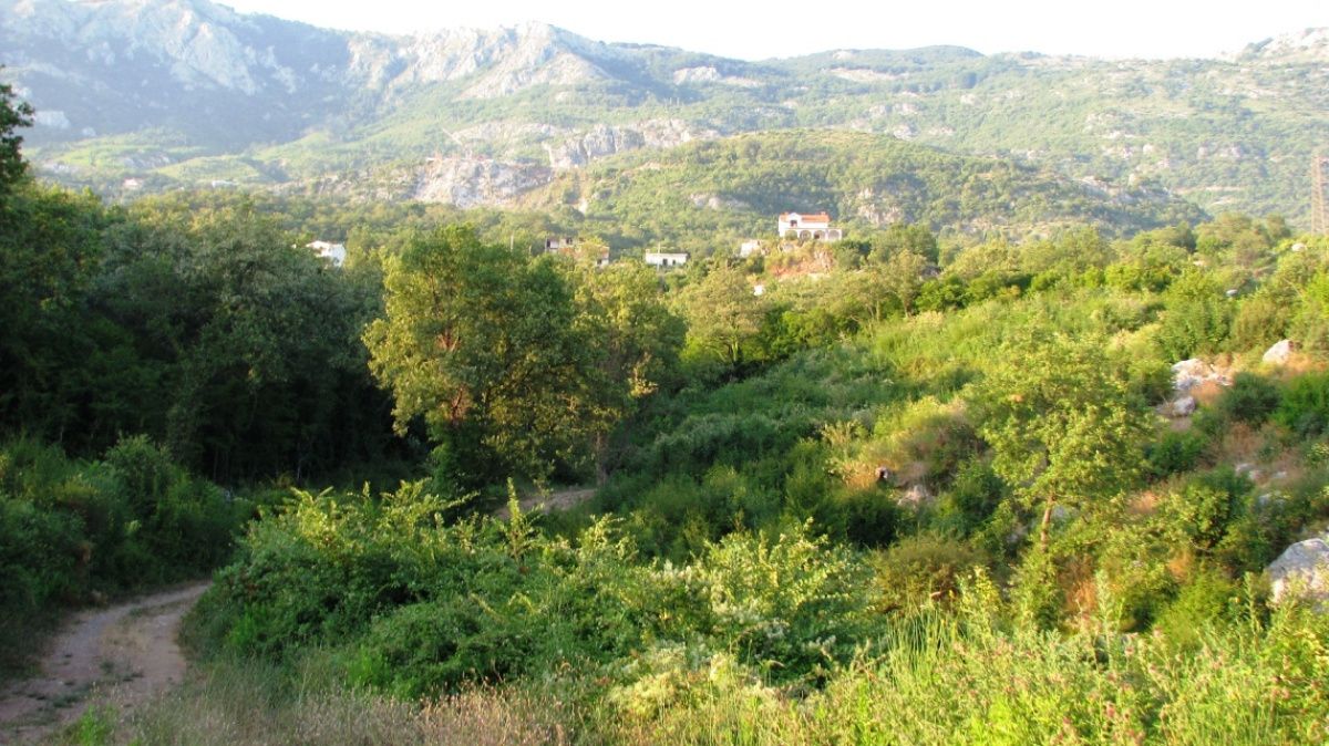 Земля в Марковичах, Черногория, 4 сот. - фото 8