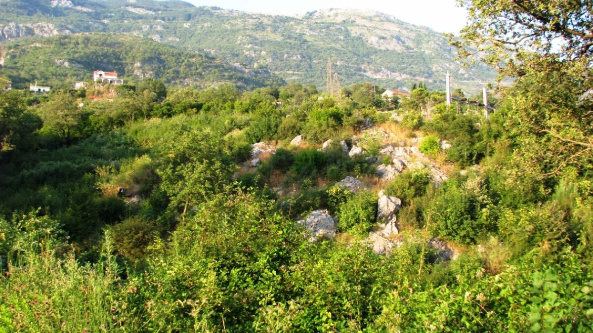 Земля в Марковичах, Черногория, 4 сот. - фото 9