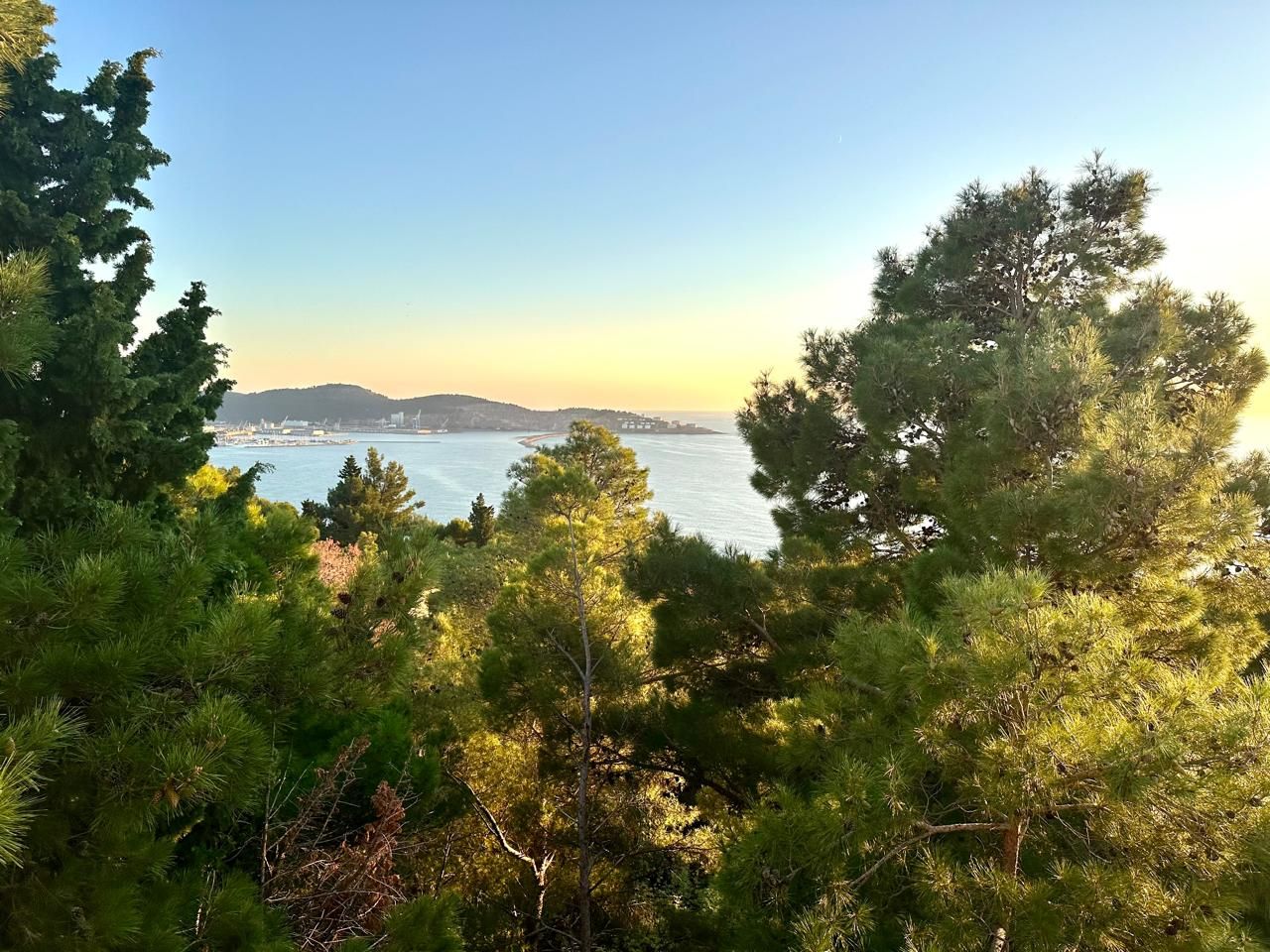 Вилла в Баре, Черногория, 240 м² - фото 10