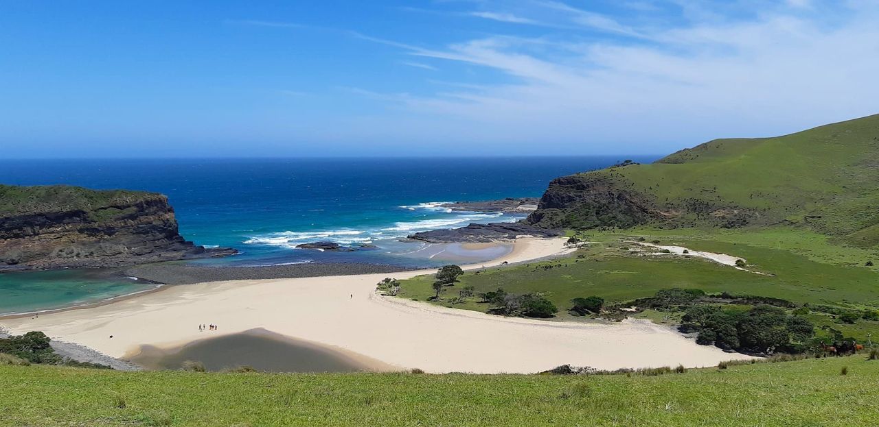 Отель, гостиница Восточный Кейп, ЮАР, 1 800 м² - фото 2