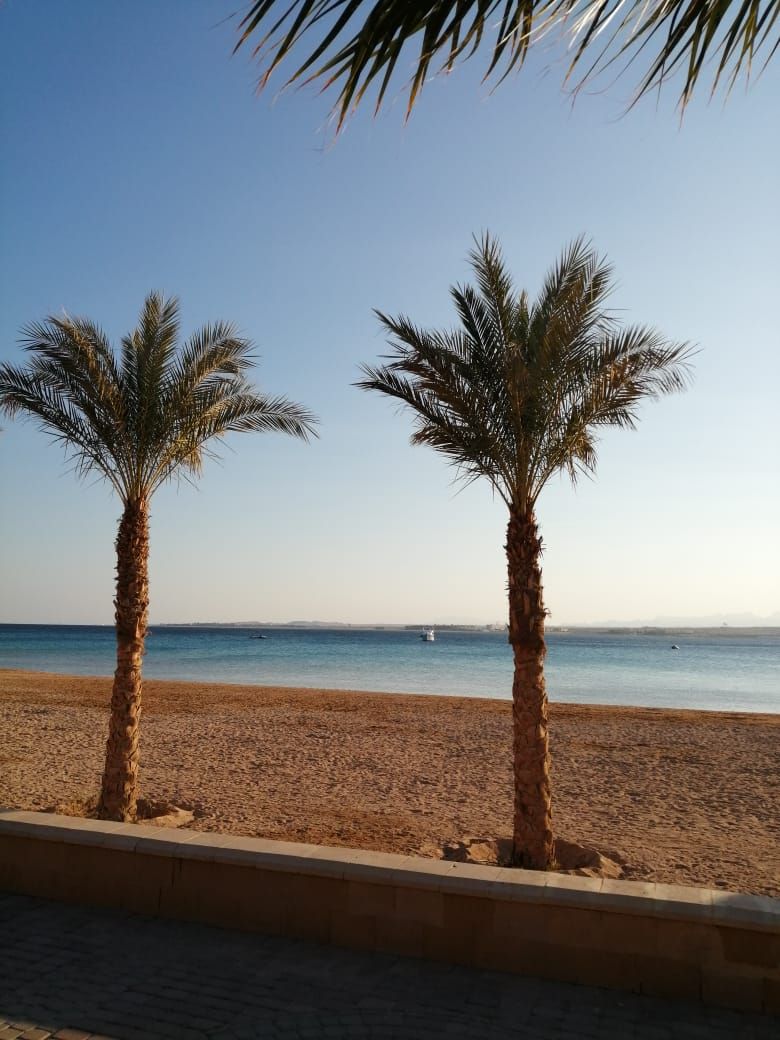 Студия в Сахл-Хашиш, Египет, 56.7 м² - фото 10