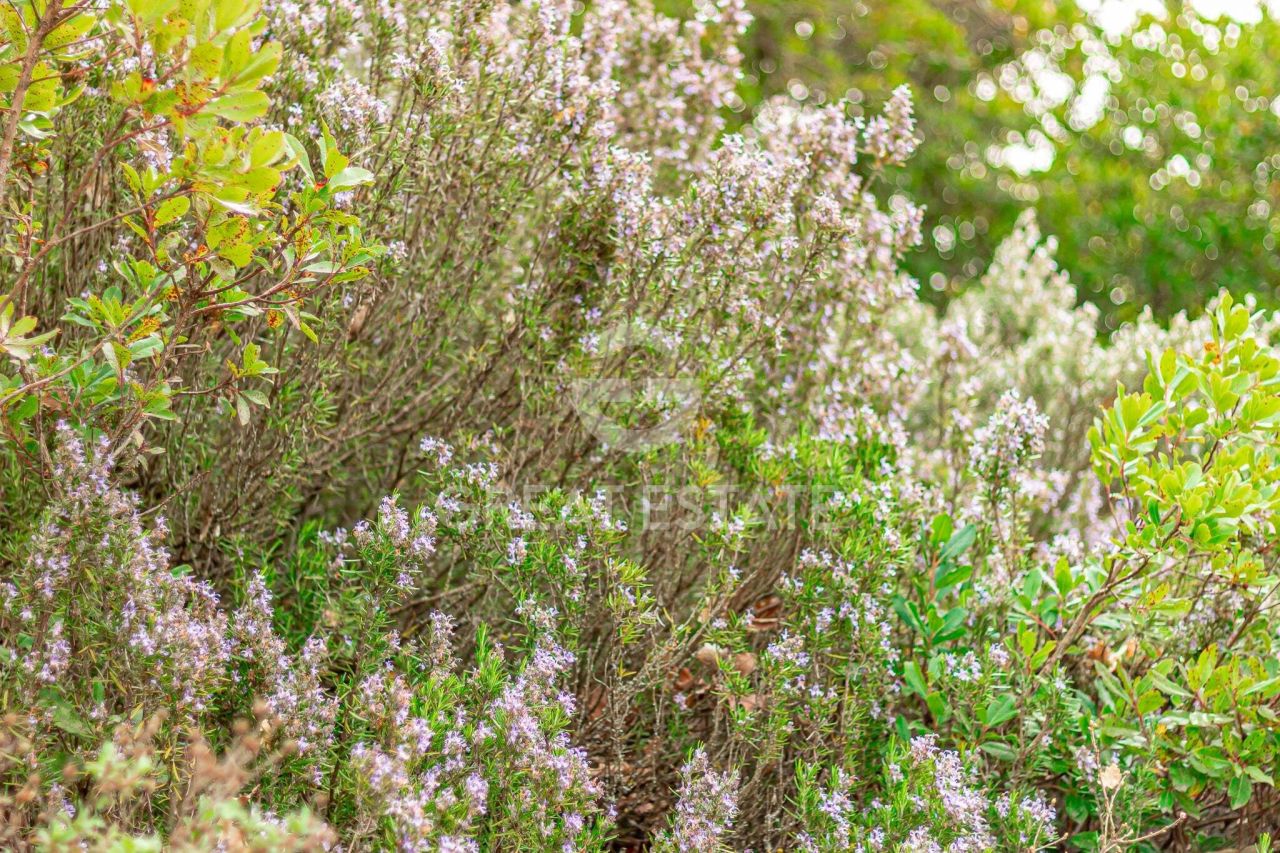 Дом в Баски, Италия, 208.55 м² - фото 18