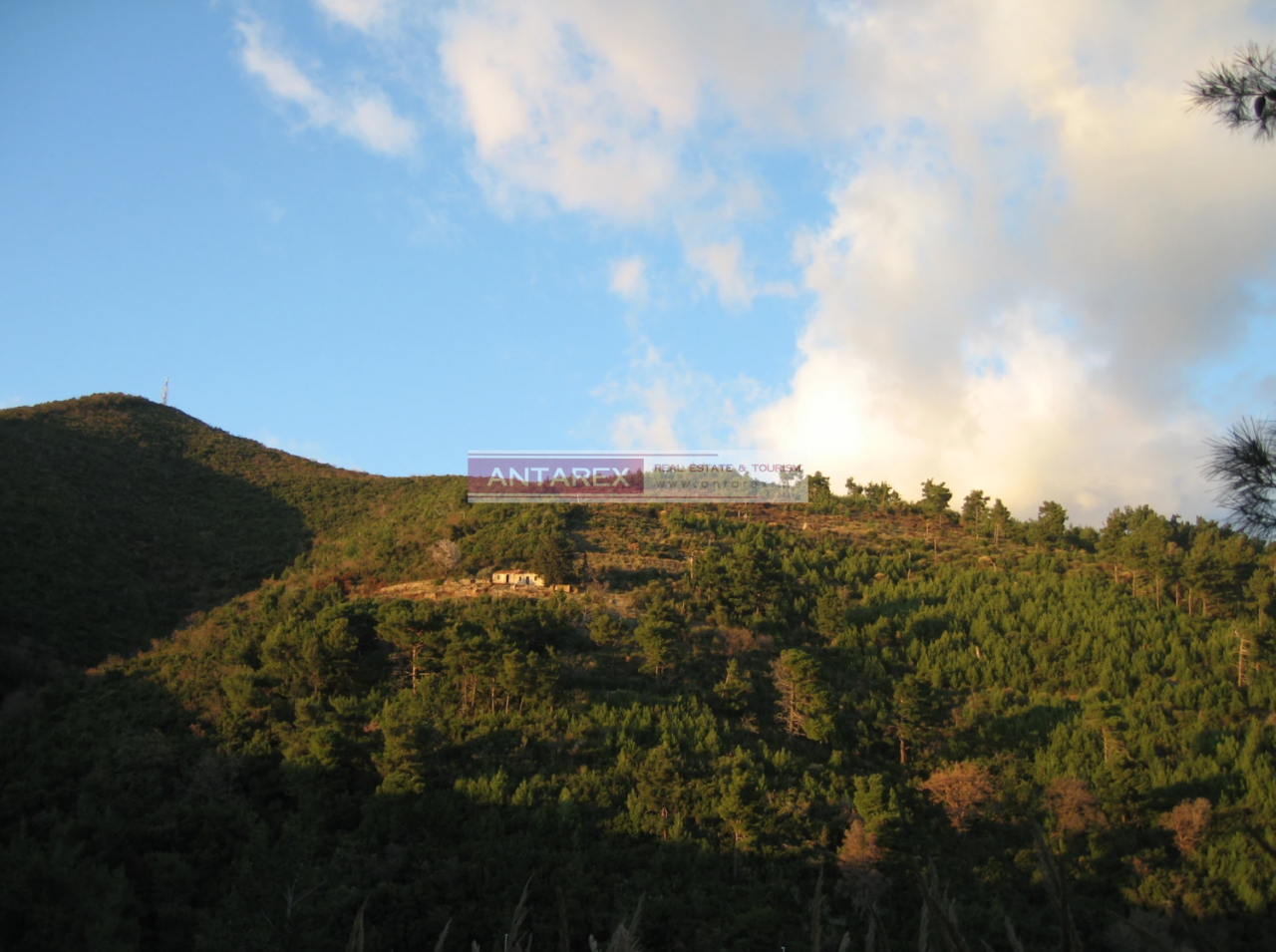 Земля в Будве, Черногория, 11 246 м² - фото 2