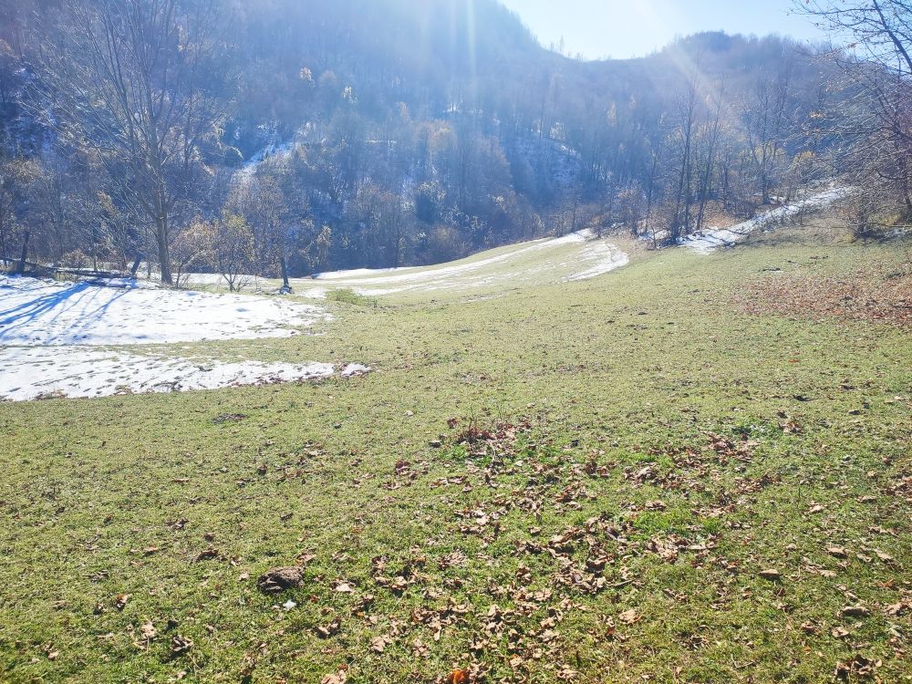 Земля в Шавнике, Черногория, 3.84 Га - фото 8