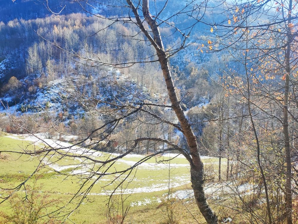 Земля в Шавнике, Черногория, 3.84 Га - фото 11