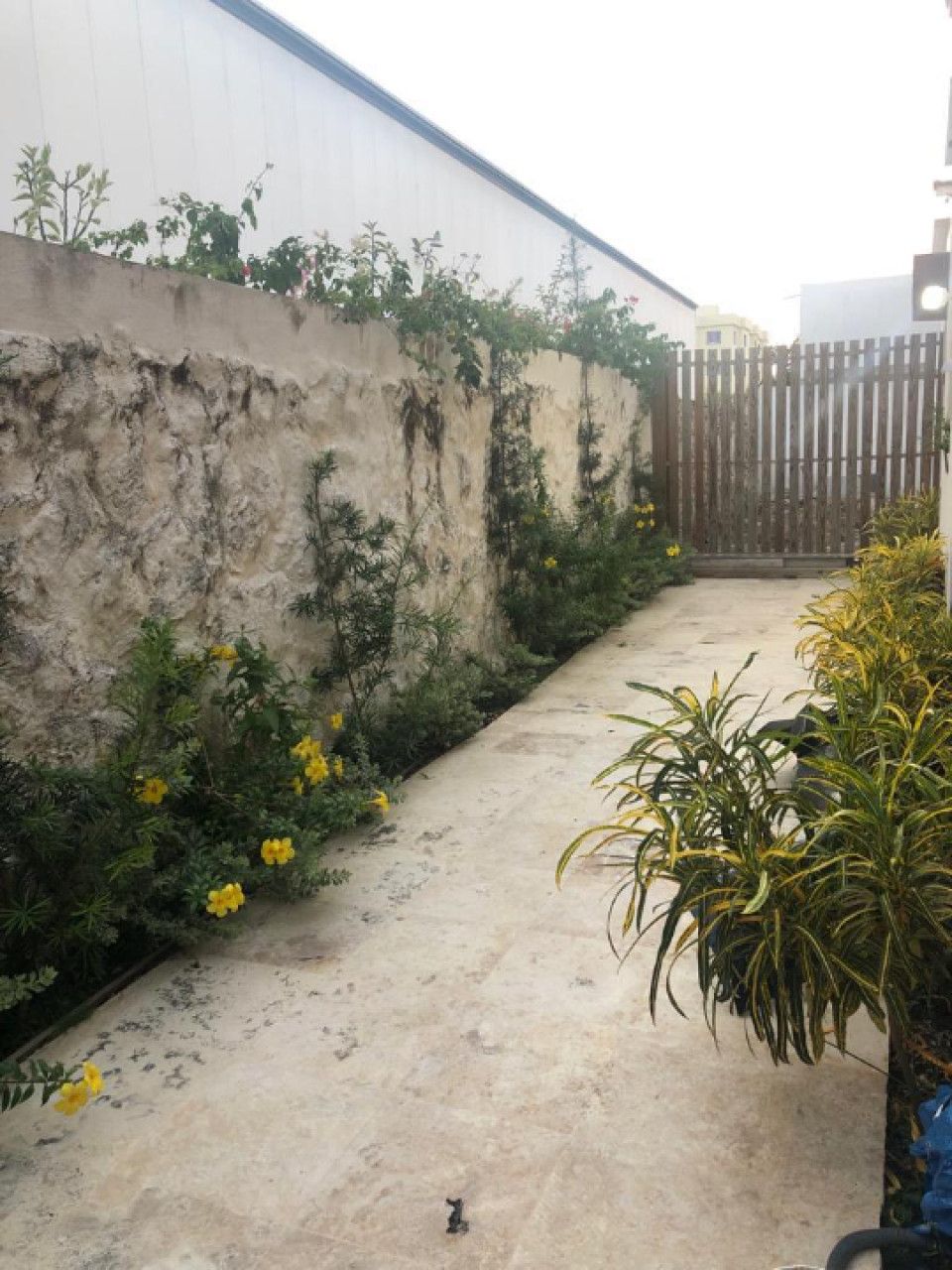 Коттедж в Пунта-Кана, Доминиканская Республика, 140 м² - фото 12