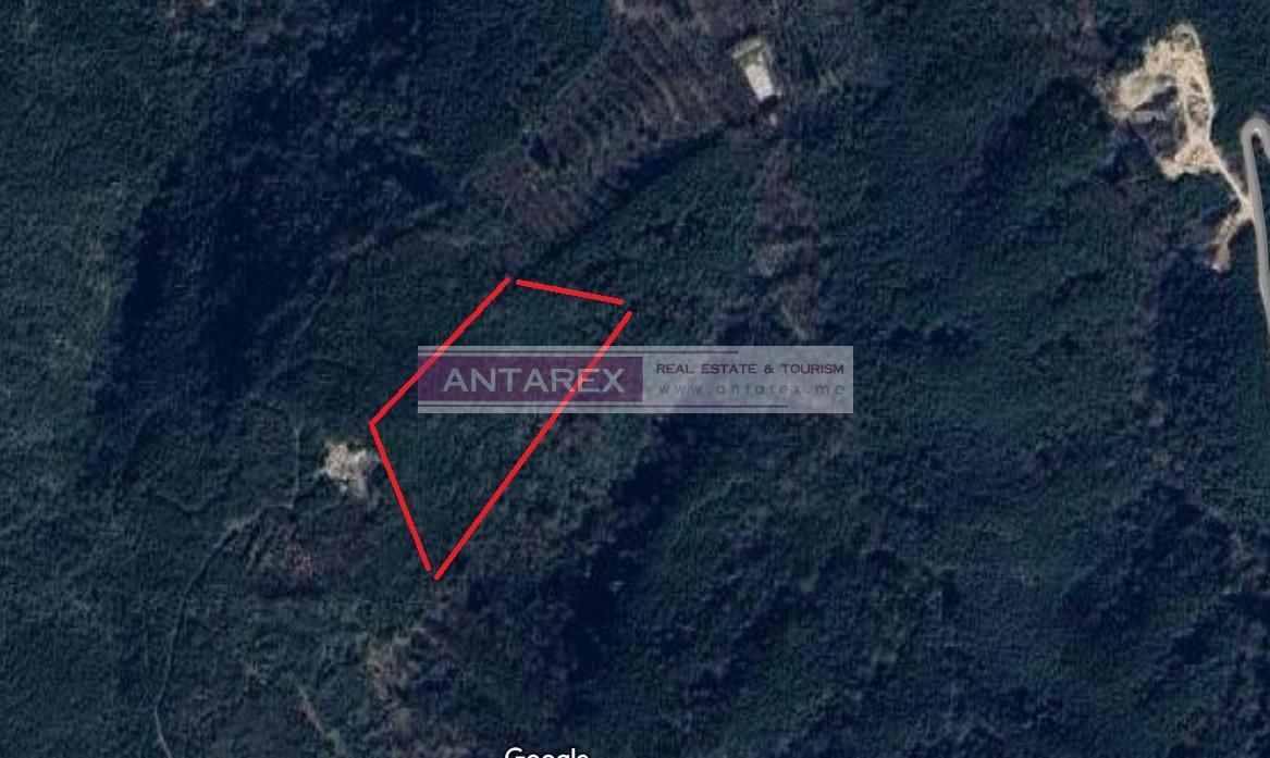 Земля в Радановичах, Черногория, 16 683 м² - фото 2