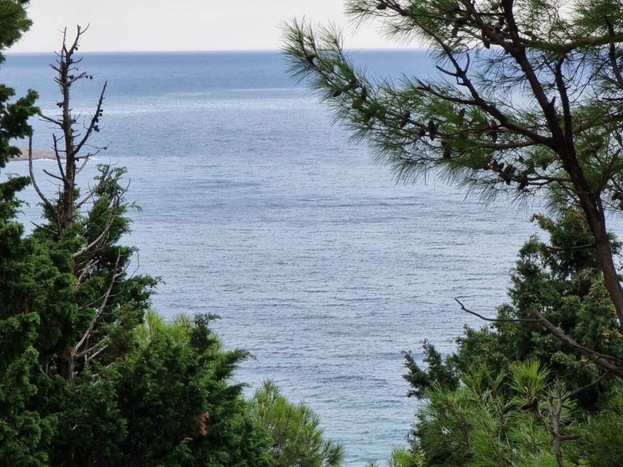 Дом в Баре, Черногория, 188 м² - фото 12