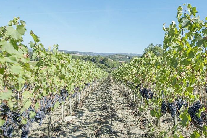 Производство в Кьянти, Италия, 5 400 м² - фото 4