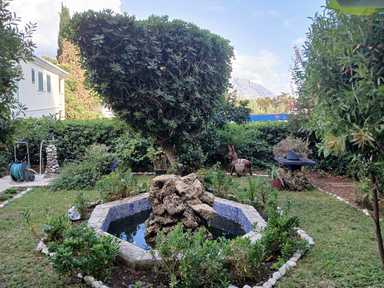 Отель, гостиница в Будве, Черногория, 393 м² - фото 11