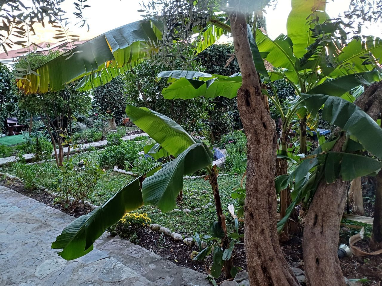 Отель, гостиница в Будве, Черногория, 393 м² - фото 17