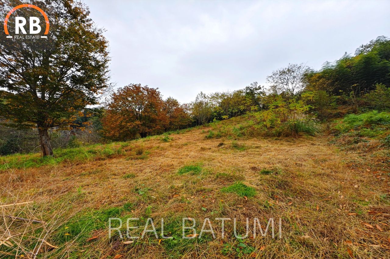 Земля в Батуми, Грузия, 3 892 м² - фото 7