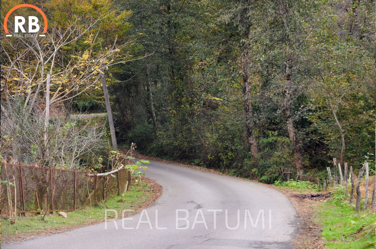 Земля в Батуми, Грузия, 3 892 м² - фото 9