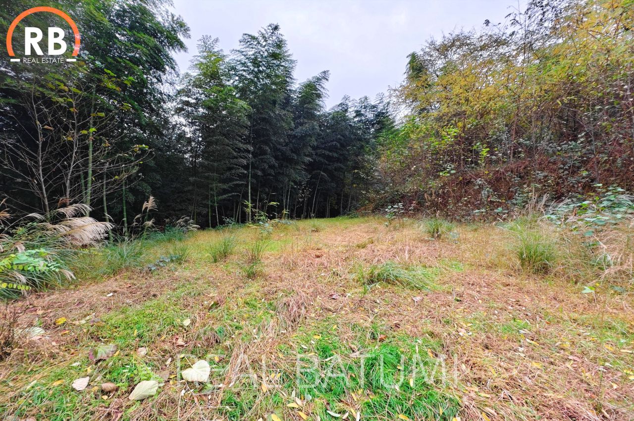 Земля в Батуми, Грузия, 3 892 м² - фото 6