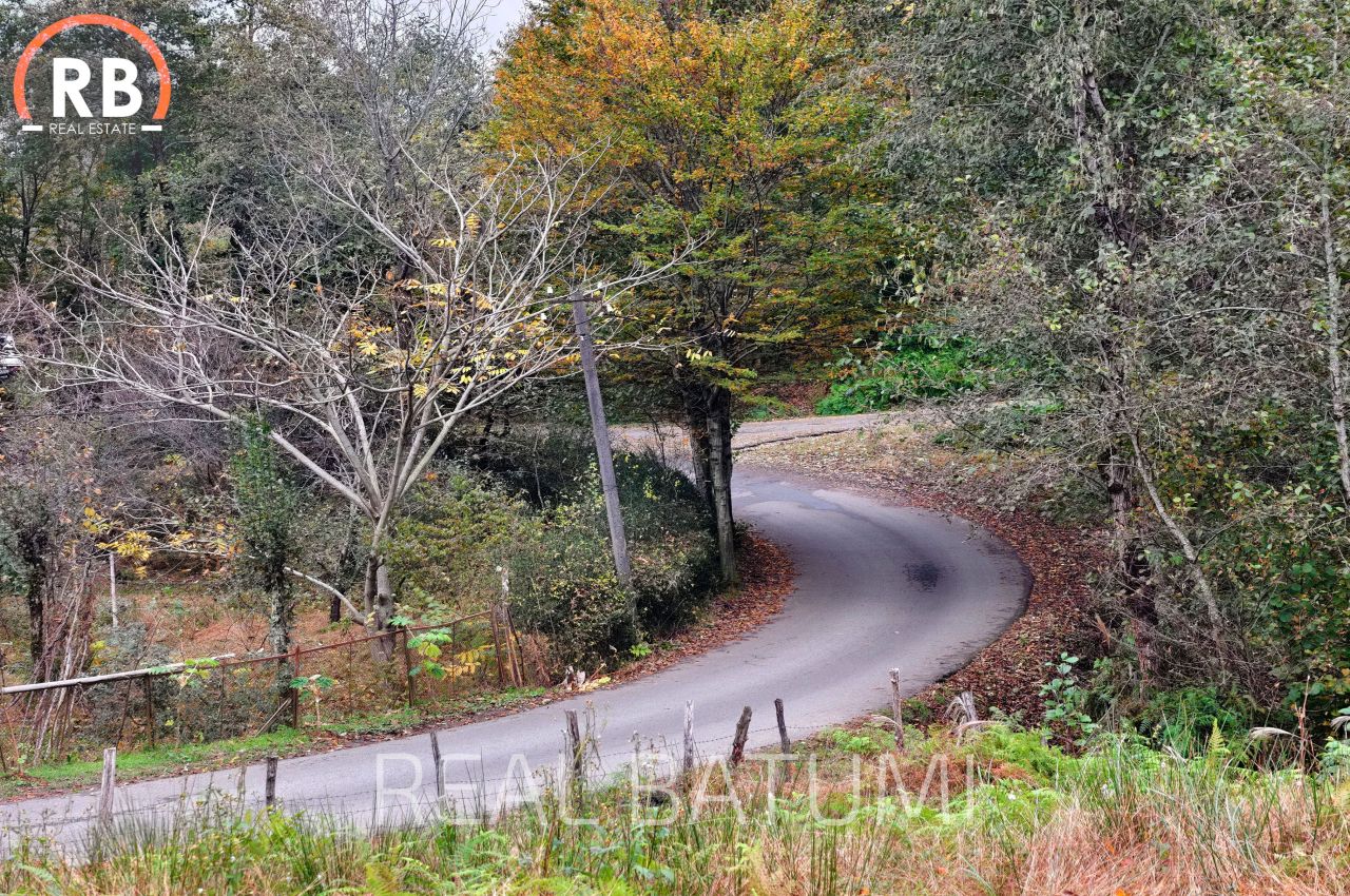 Земля в Батуми, Грузия, 3 892 м² - фото 10