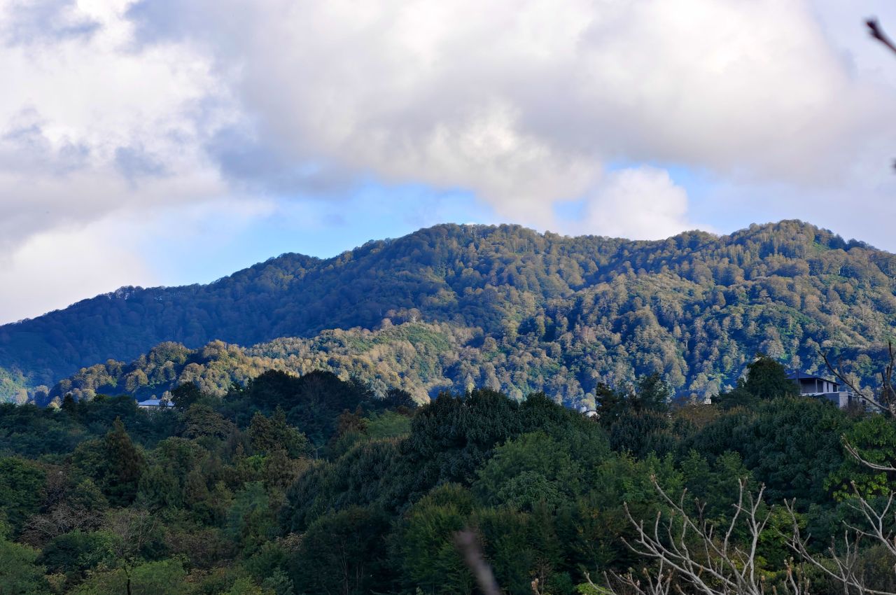 Дом в Батуми, Грузия, 200 м² - фото 11