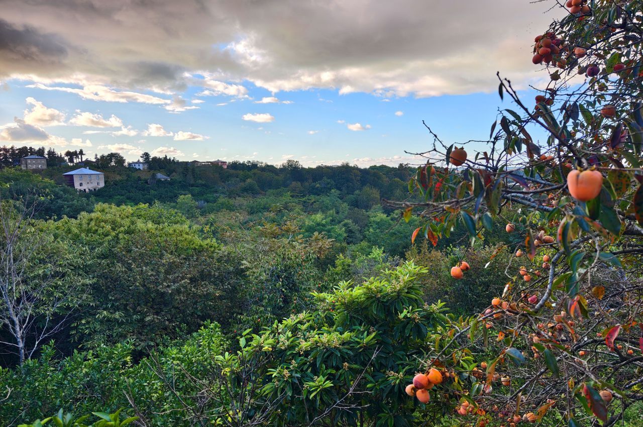 Дом в Батуми, Грузия, 200 м² - фото 6