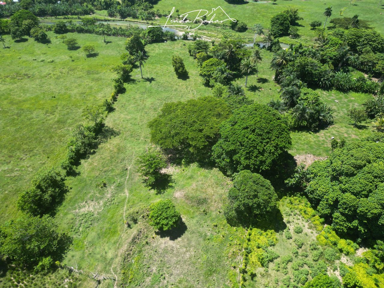 Земля в Кабарете, Доминиканская Республика, 500 м² - фото 5