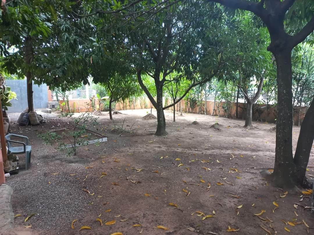 Доходный дом в Сосуа, Доминиканская Республика, 500 м² - фото 6