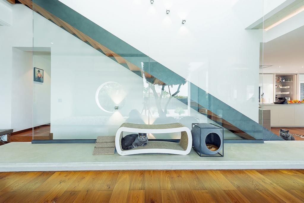 Квартира в Пафосе, Кипр, 570 м² - фото 18