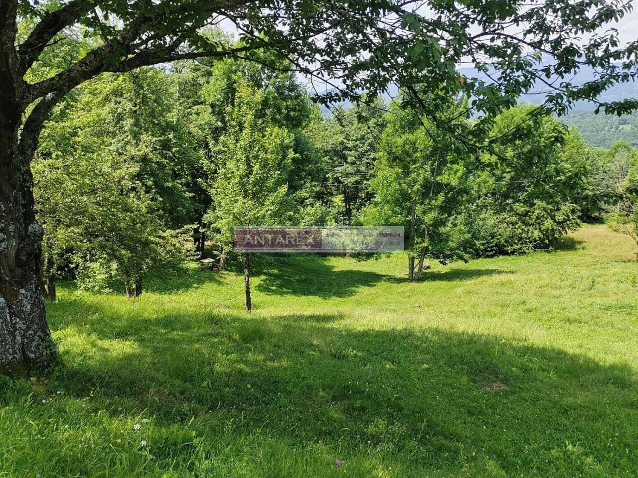 Земля в Колашине, Черногория, 1 313 м² - фото 4