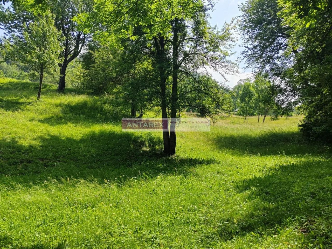 Земля в Колашине, Черногория, 1 313 м² - фото 5