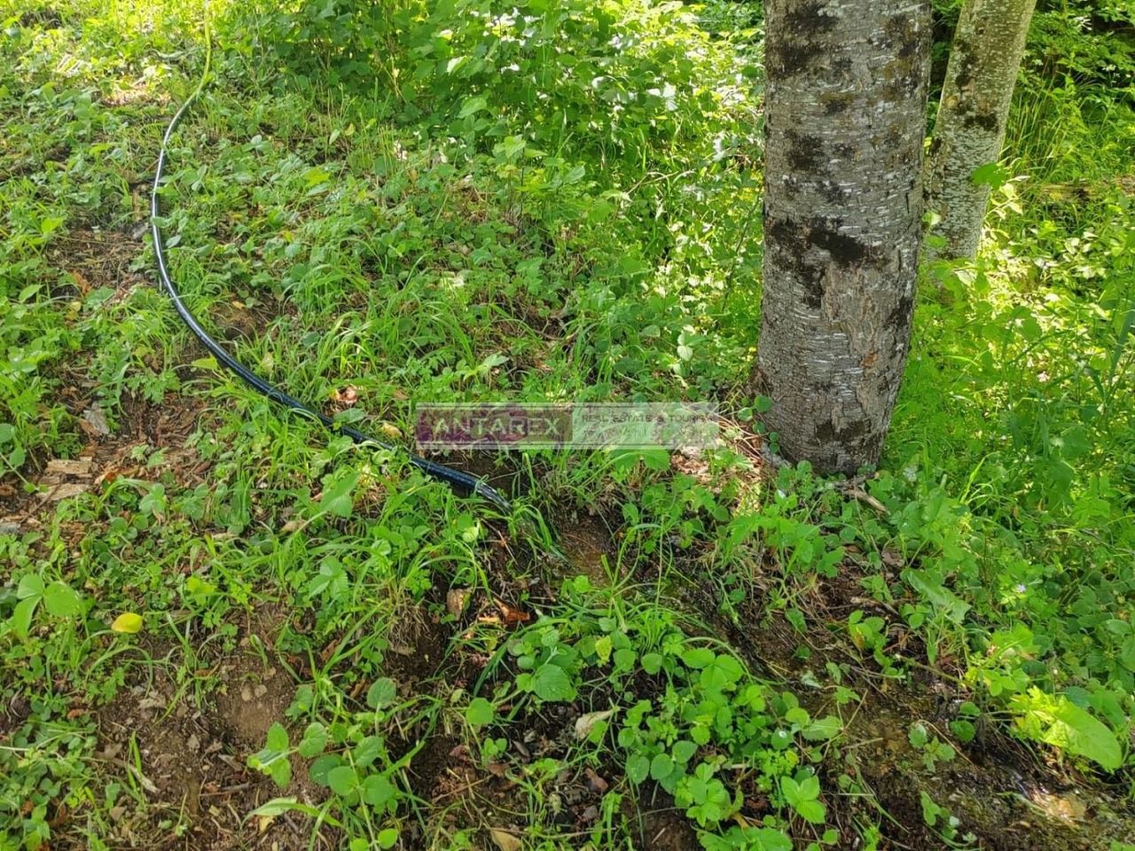 Земля в Колашине, Черногория, 1 313 м² - фото 9