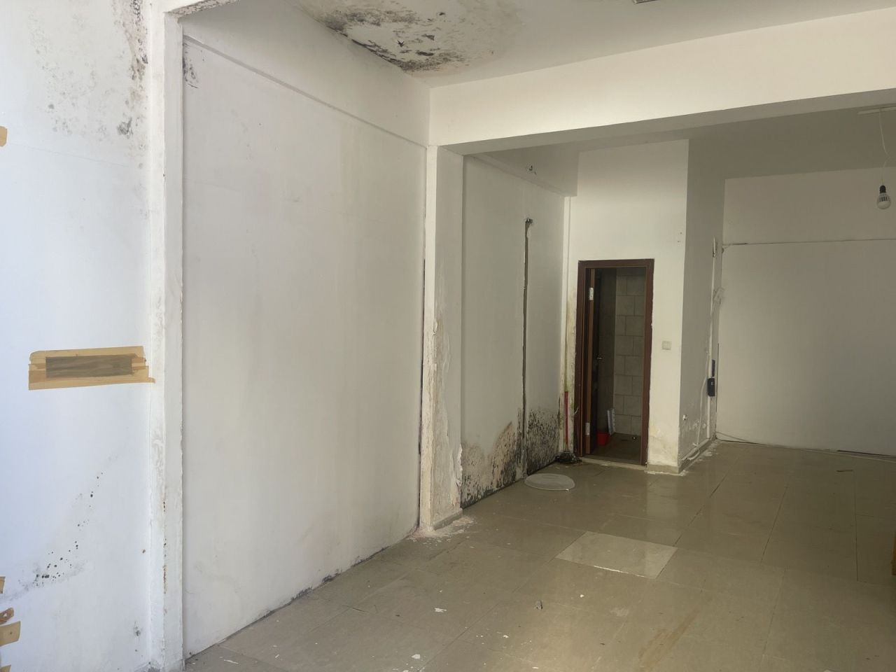 Коммерческая недвижимость на Солнечном берегу, Болгария - фото 5