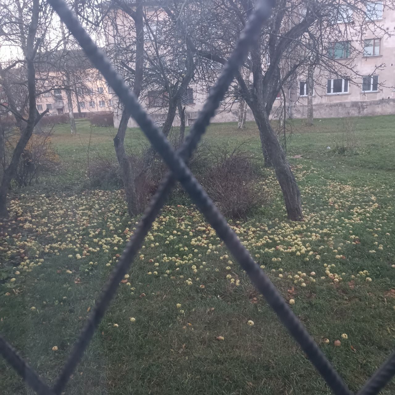 Квартира в Кохтла-Ярве, Эстония, 40.6 м² - фото 9