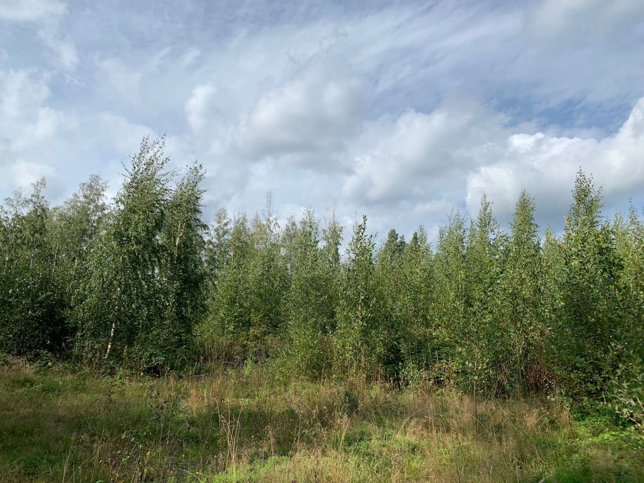 Земля в Кухмоинен, Финляндия, 43 000 м² - фото 12