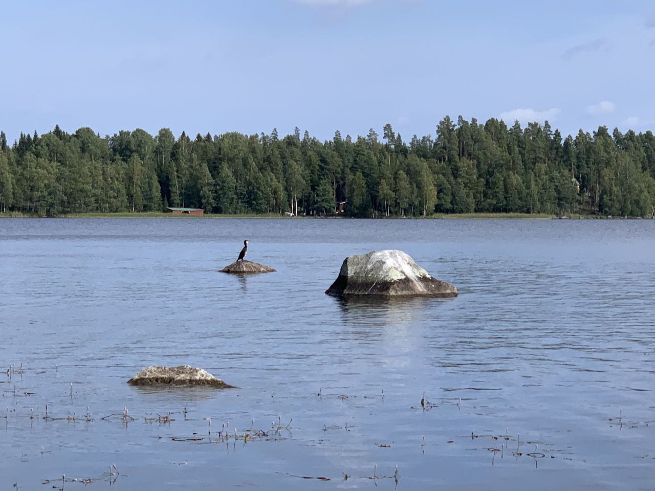 Земля в Кухмоинен, Финляндия, 43 000 м² - фото 5