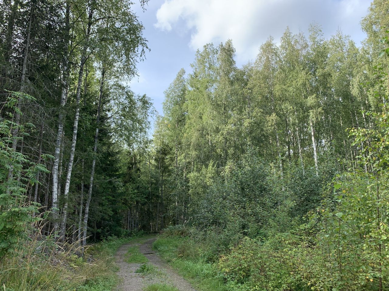 Земля в Кухмоинен, Финляндия, 43 000 м² - фото 15