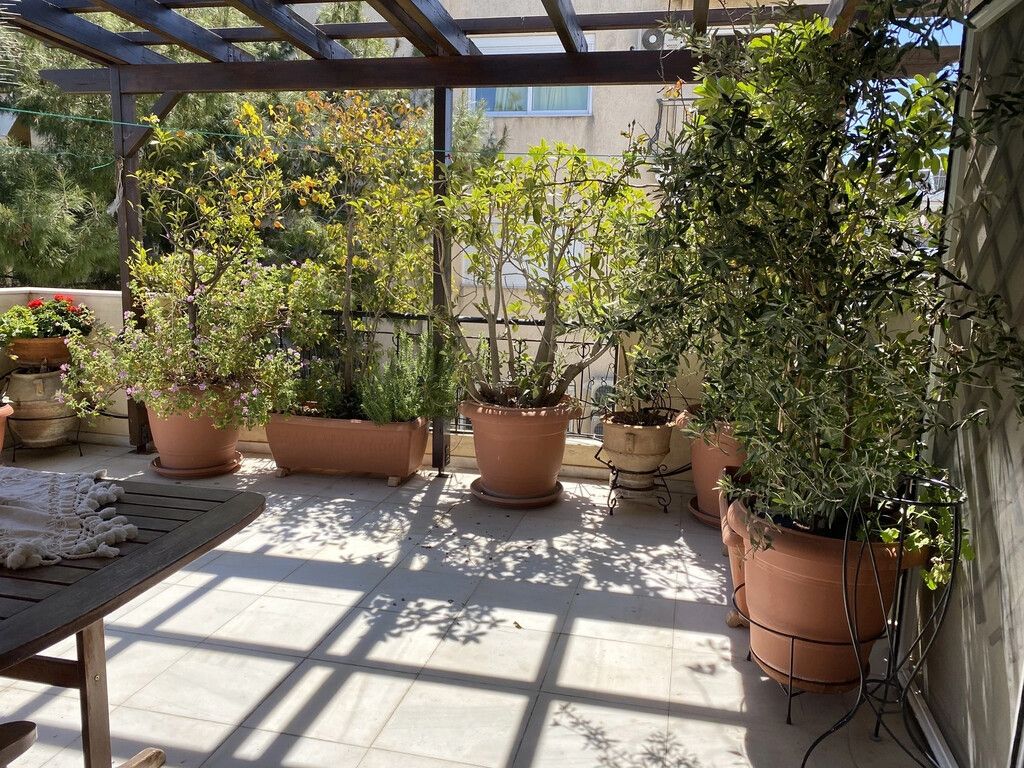 Мезонет в Афинах, Греция, 174 м² - фото 3