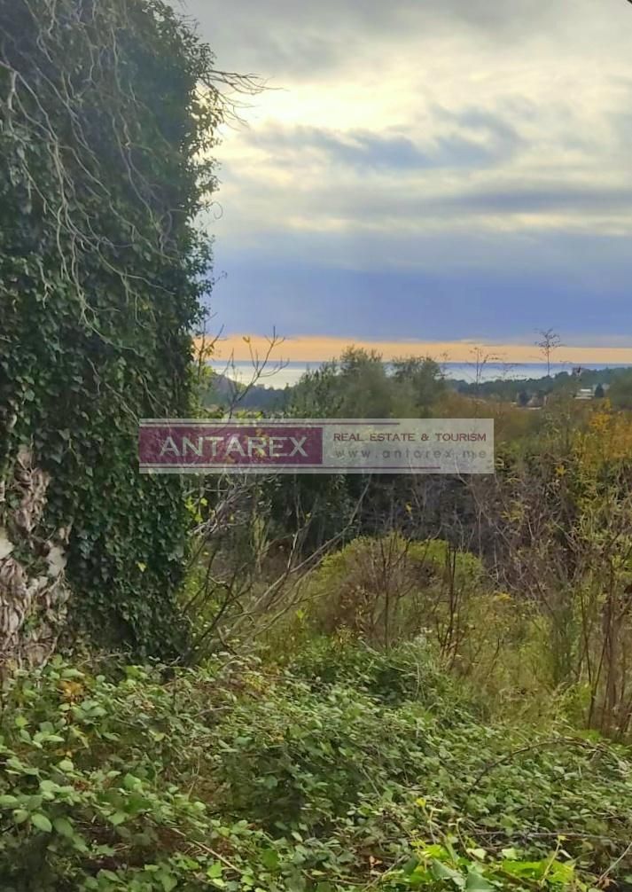 Вилла в Сутоморе, Черногория, 160 м² - фото 3